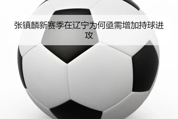 张镇麟新赛季在辽宁为何亟需增加持球进攻