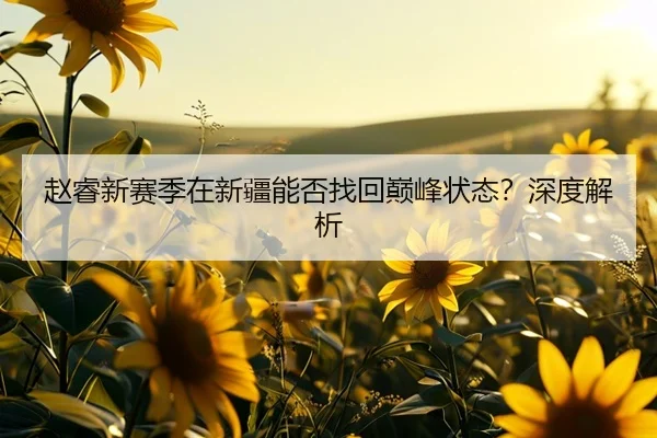 赵睿新赛季在新疆能否找回巅峰状态？深度解析